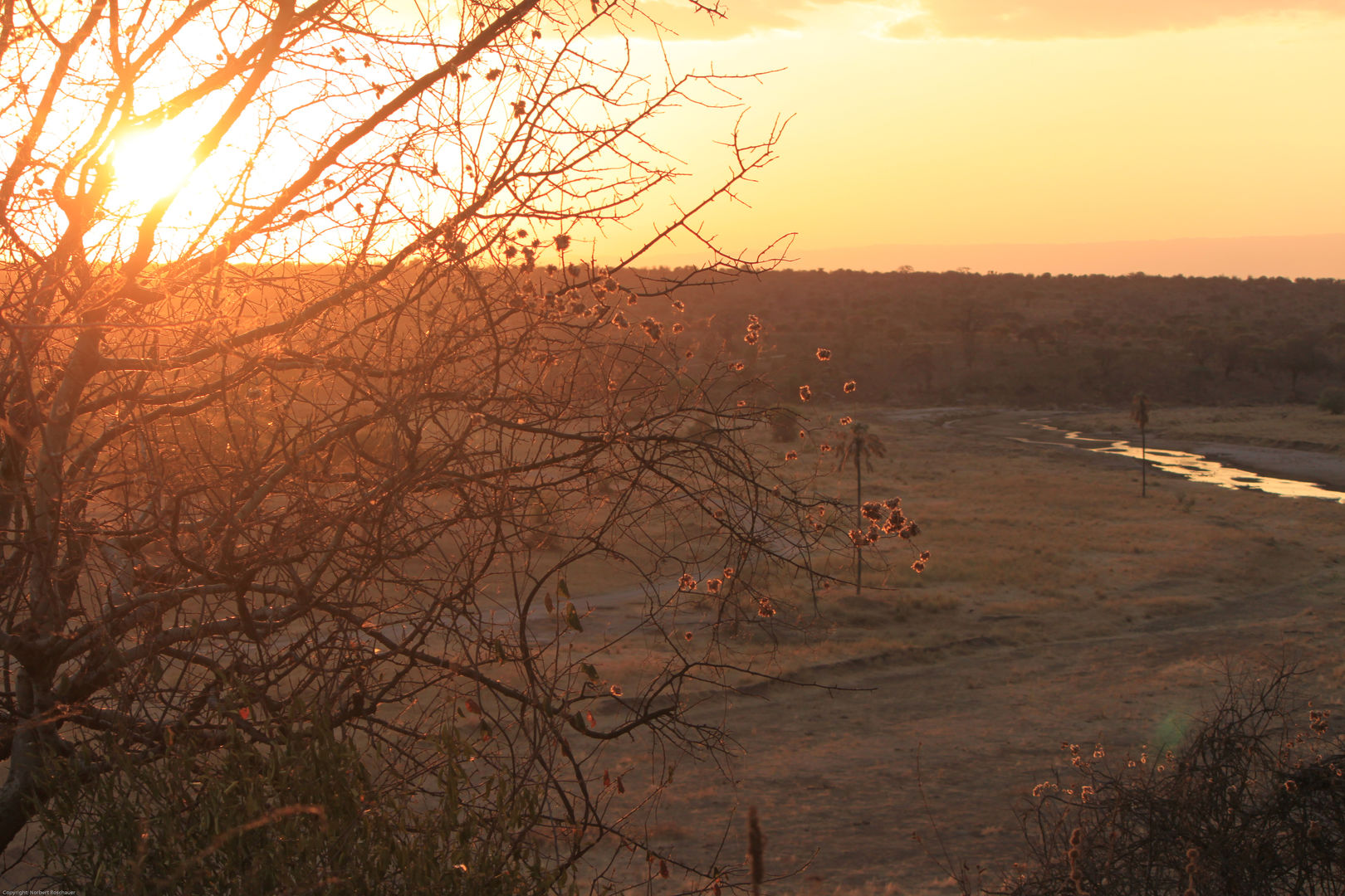Tansania 2010: Serengeti